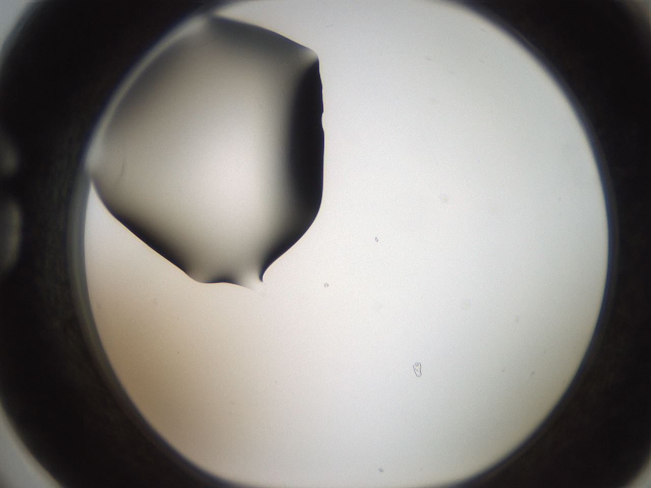 folderID259_plateID2259_batchID10335_wellNum78_profileID1_d1_r157340_ef.jpg