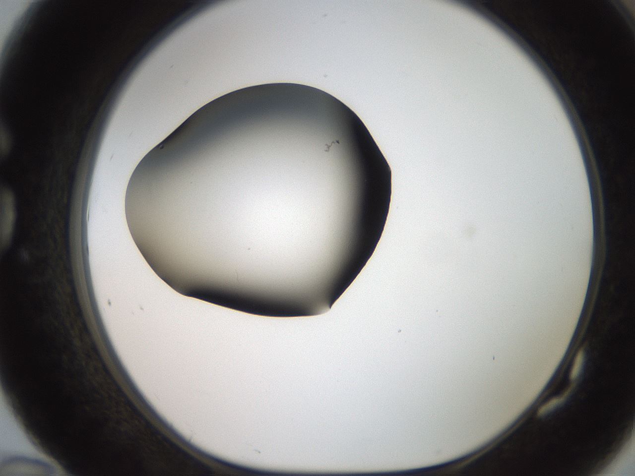folderID259_plateID2259_batchID10335_wellNum82_profileID1_d1_r157348_ef.jpg