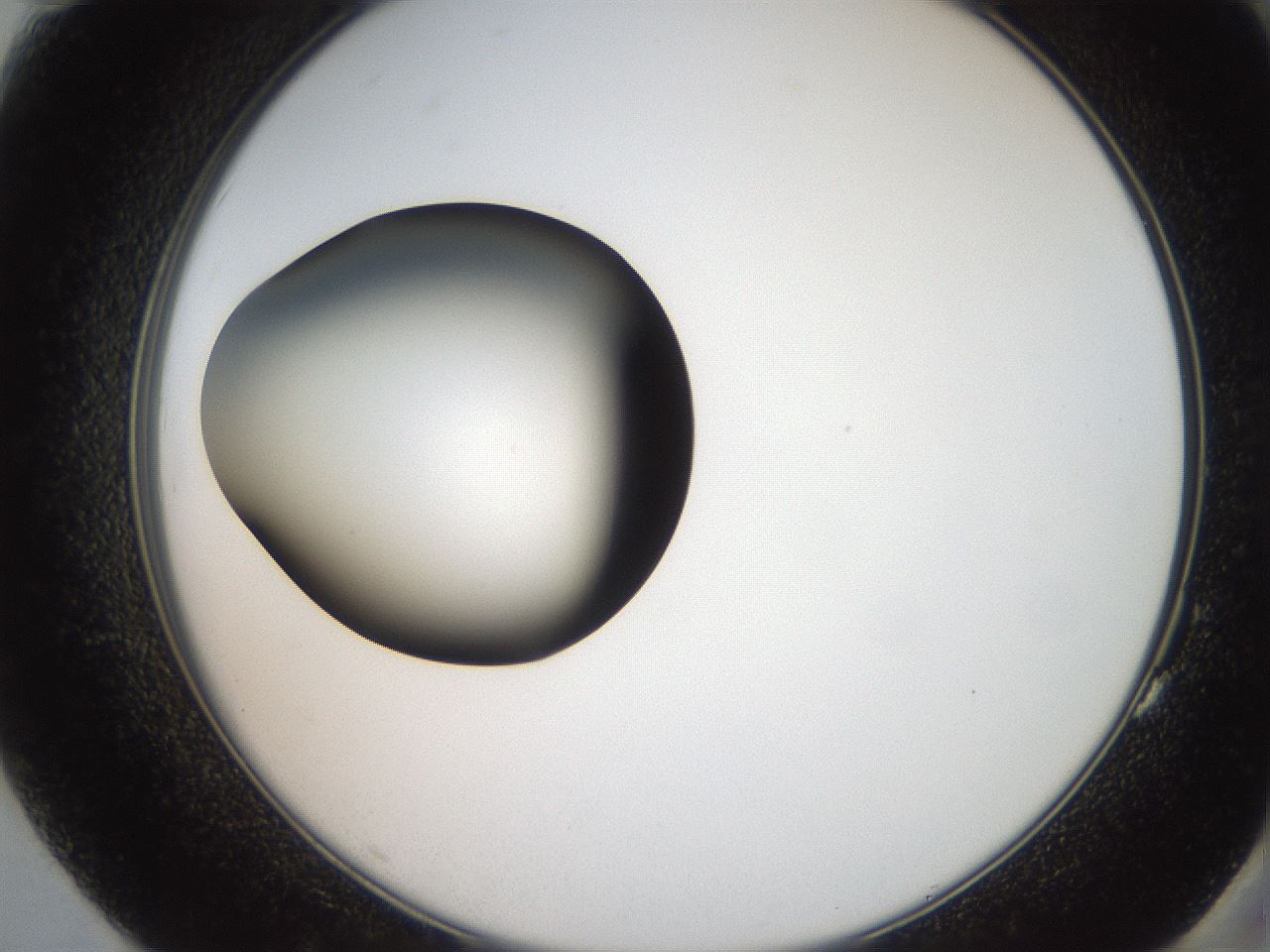 folderID259_plateID2259_batchID10335_wellNum83_profileID1_d2_r157351_ef.jpg