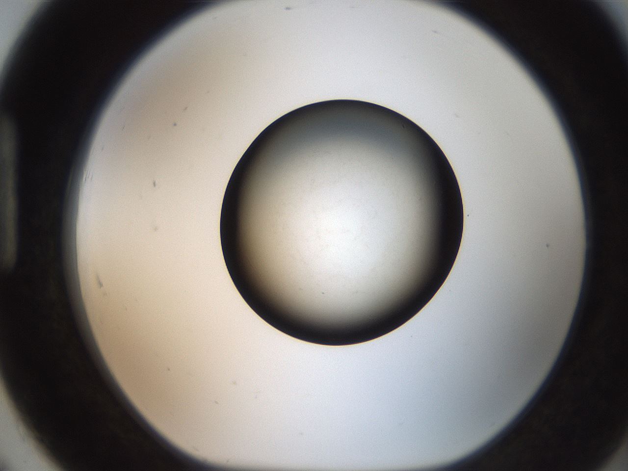 folderID259_plateID2259_batchID10335_wellNum91_profileID1_d1_r157366_ef.jpg