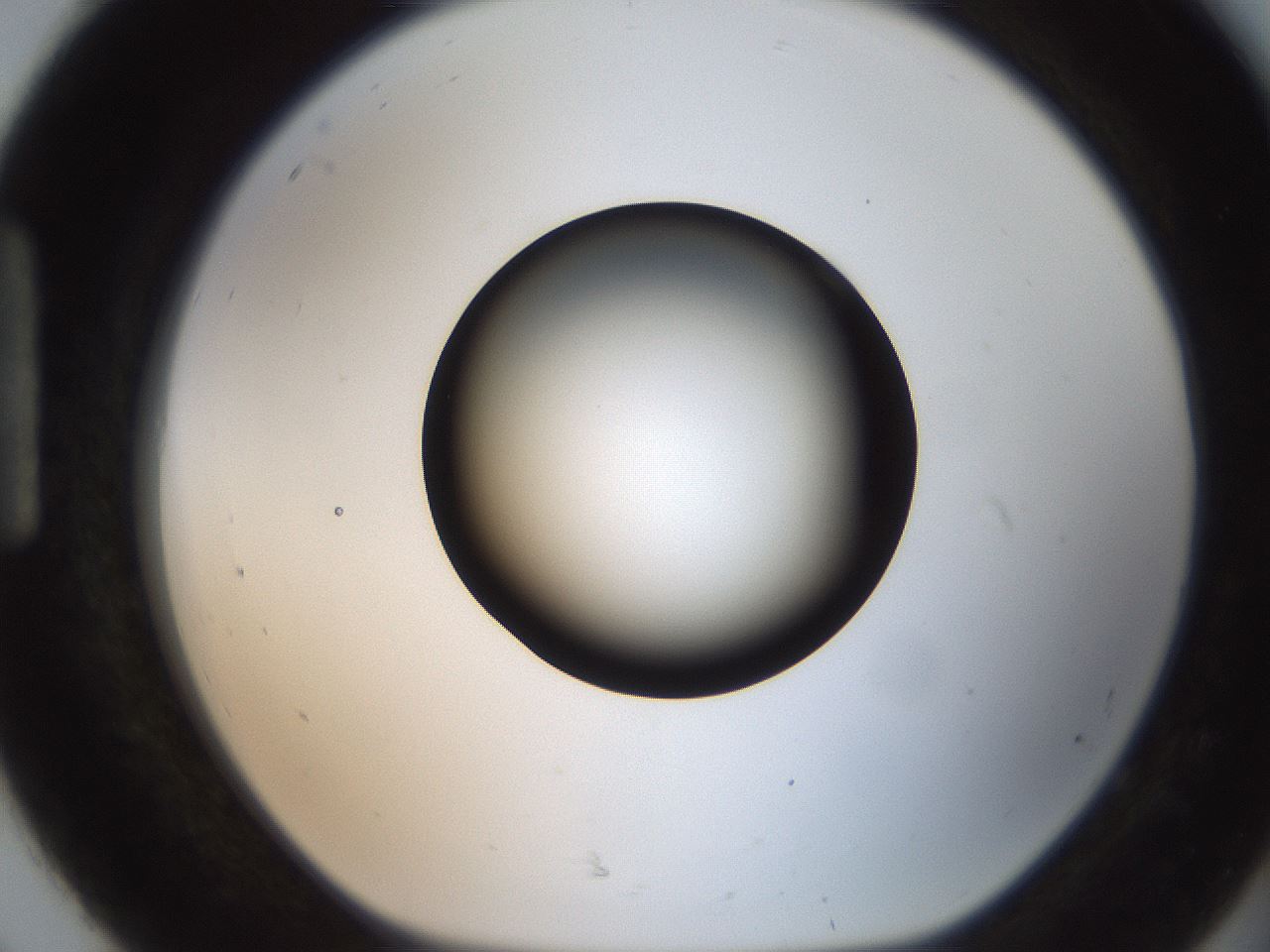 folderID259_plateID2259_batchID10335_wellNum92_profileID1_d1_r157368_ef.jpg