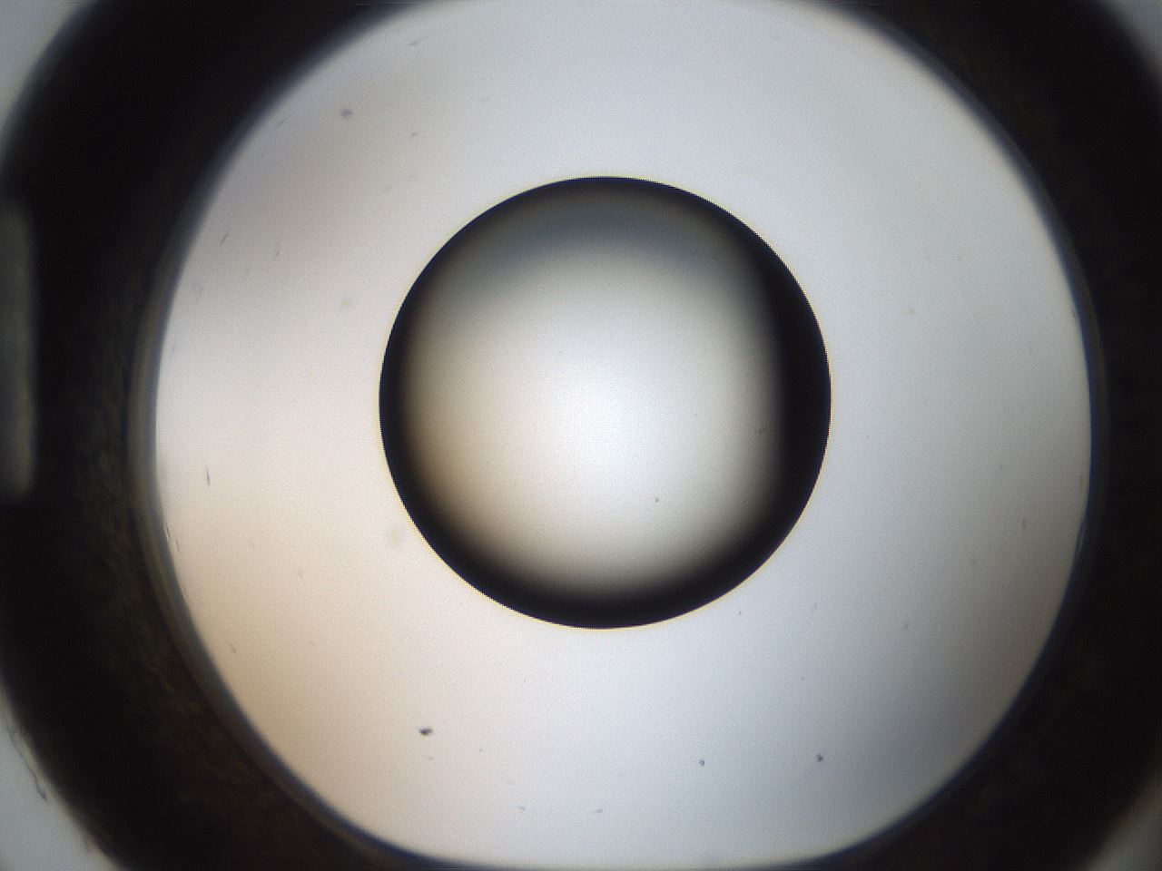 folderID259_plateID2259_batchID10335_wellNum93_profileID1_d1_r157370_ef.jpg