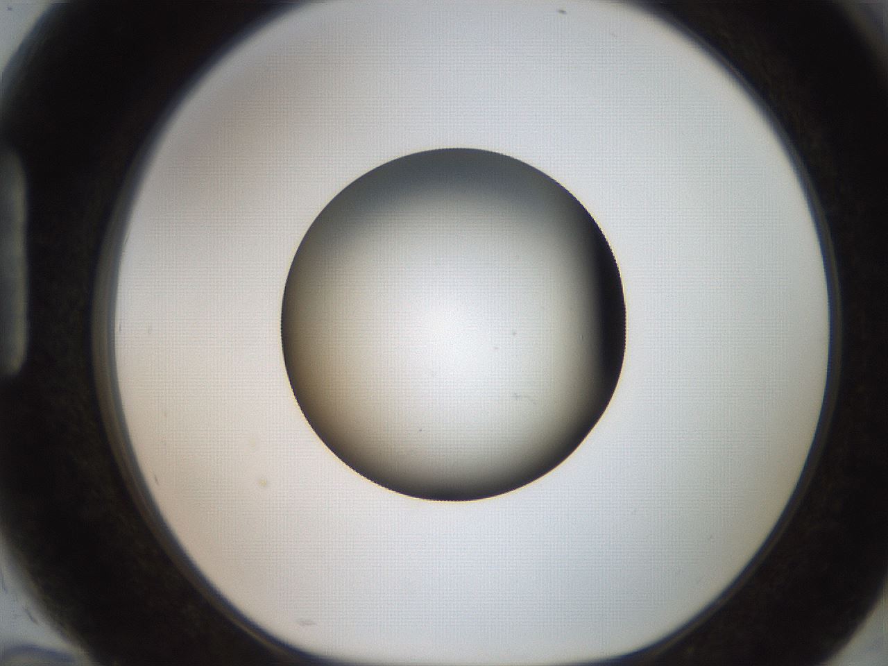 folderID259_plateID2259_batchID10335_wellNum94_profileID1_d1_r157372_ef.jpg