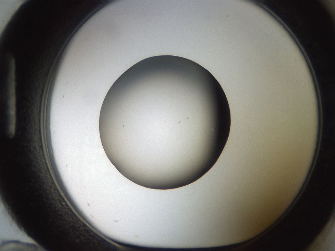 folderID259_plateID2259_batchID10335_wellNum96_profileID1_d1_r157376_ef.jpg