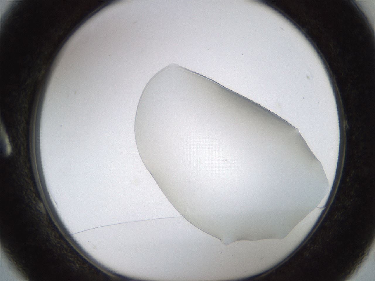 folderID260_plateID1260_batchID4134_wellNum1_profileID1_d1_r72856_ef.jpg