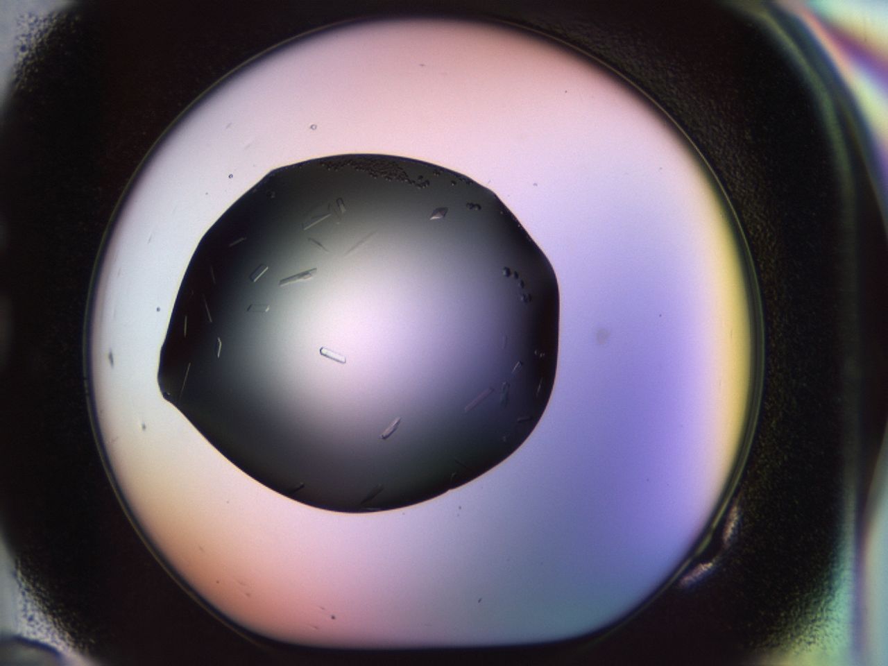 02jg_G10_ImagerDefaults_9.jpg