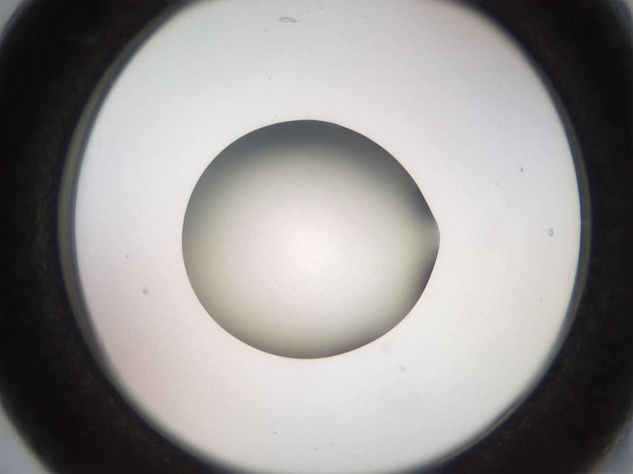 folderID260_plateID2260_batchID10334_wellNum17_profileID1_d2_r157027_ef.jpg