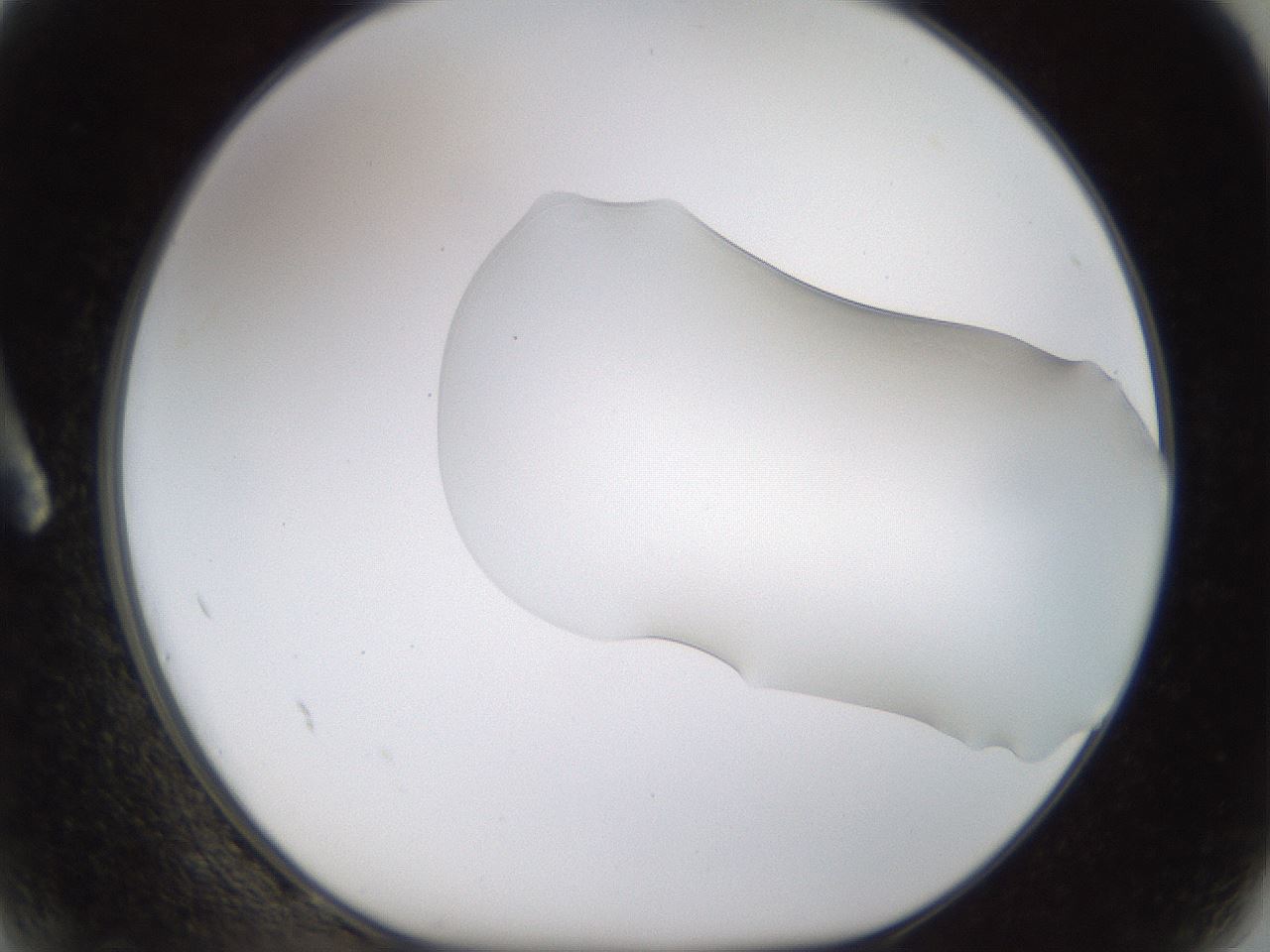 folderID260_plateID1260_batchID4134_wellNum2_profileID1_d1_r72857_ef.jpg