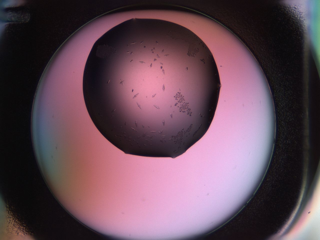 02jh_D12_ImagerDefaults_9.jpg