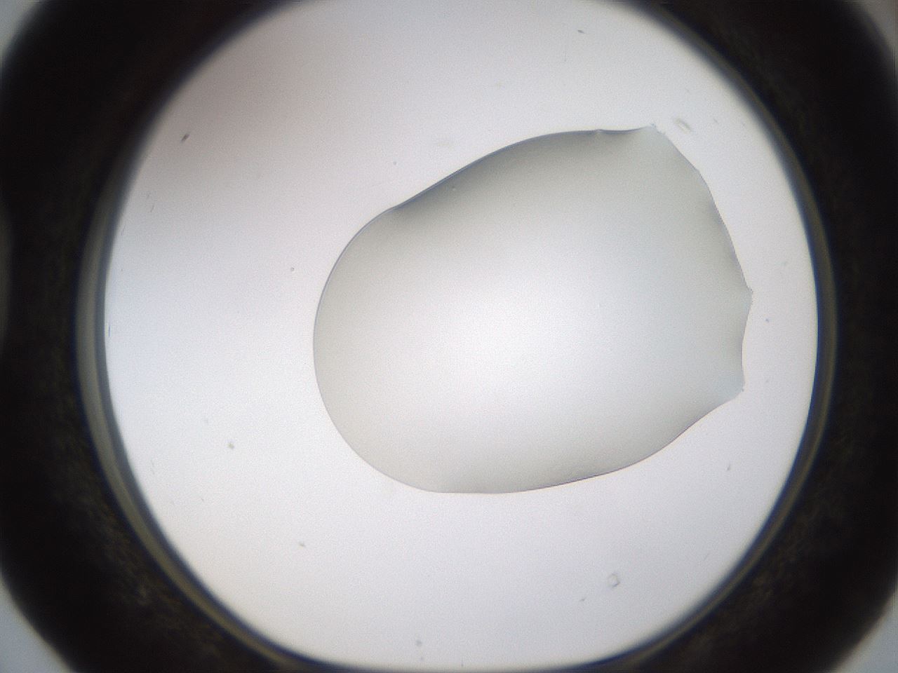 folderID260_plateID1260_batchID4134_wellNum40_profileID1_d1_r72895_ef.jpg