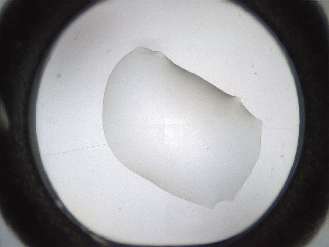 folderID260_plateID1260_batchID4134_wellNum5_profileID1_d1_r72860_ef.jpg