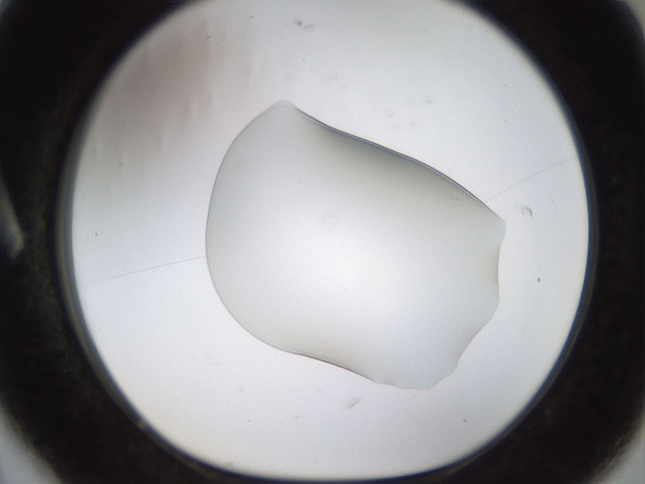 folderID260_plateID1260_batchID4134_wellNum6_profileID1_d1_r72861_ef.jpg