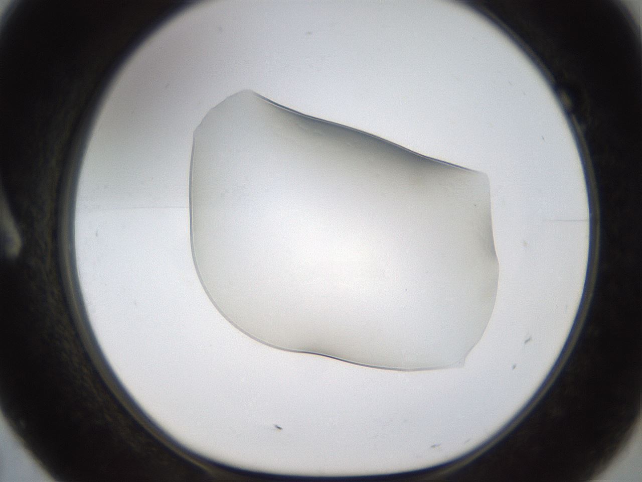 folderID260_plateID1260_batchID4134_wellNum7_profileID1_d1_r72862_ef.jpg
