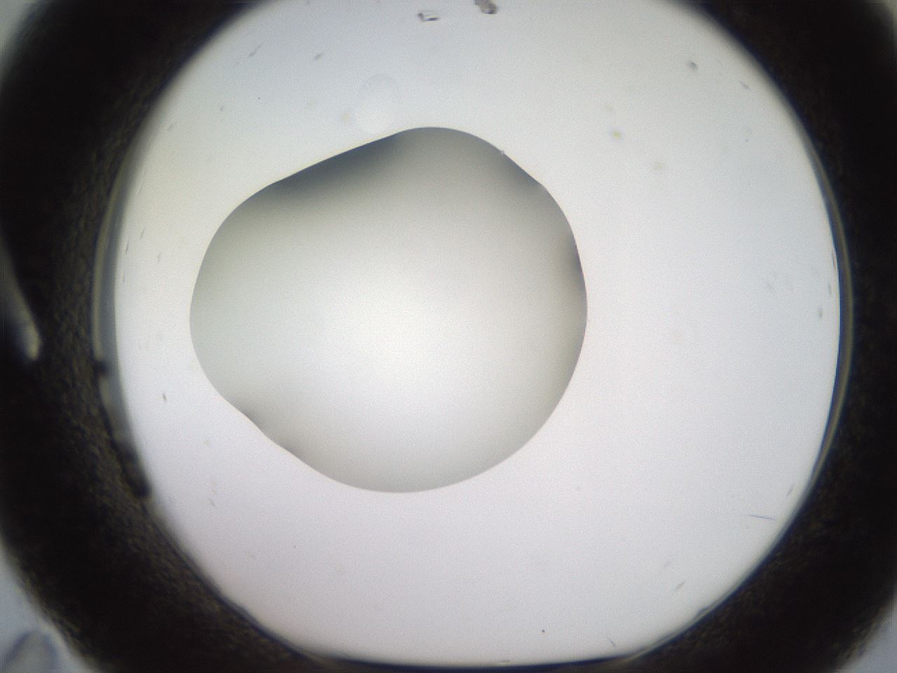 folderID260_plateID2260_batchID10334_wellNum11_profileID1_d1_r157014_ef.jpg