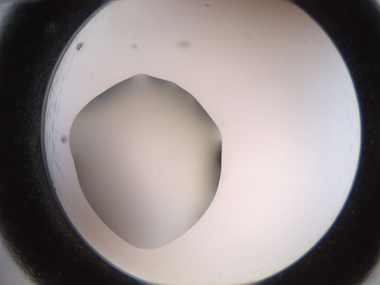 folderID260_plateID2260_batchID10334_wellNum12_profileID1_d2_r157017_ef.jpg