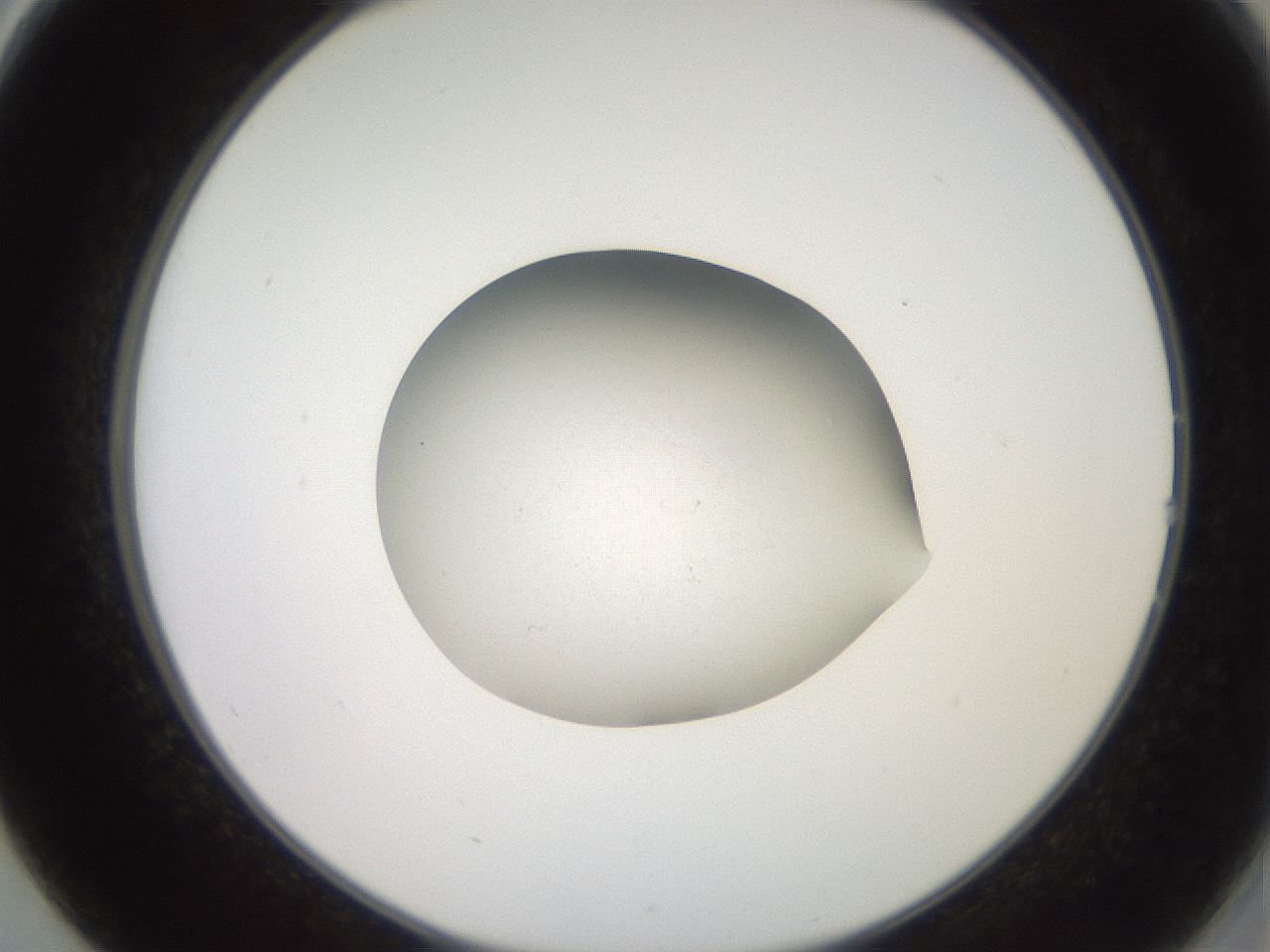folderID260_plateID2260_batchID10334_wellNum14_profileID1_d2_r157021_ef.jpg