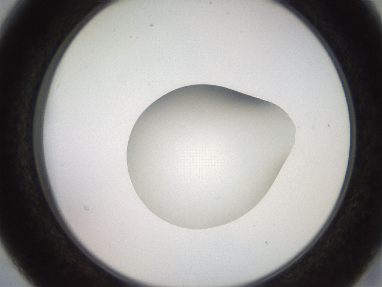 folderID260_plateID2260_batchID10334_wellNum15_profileID1_d2_r157023_ef.jpg