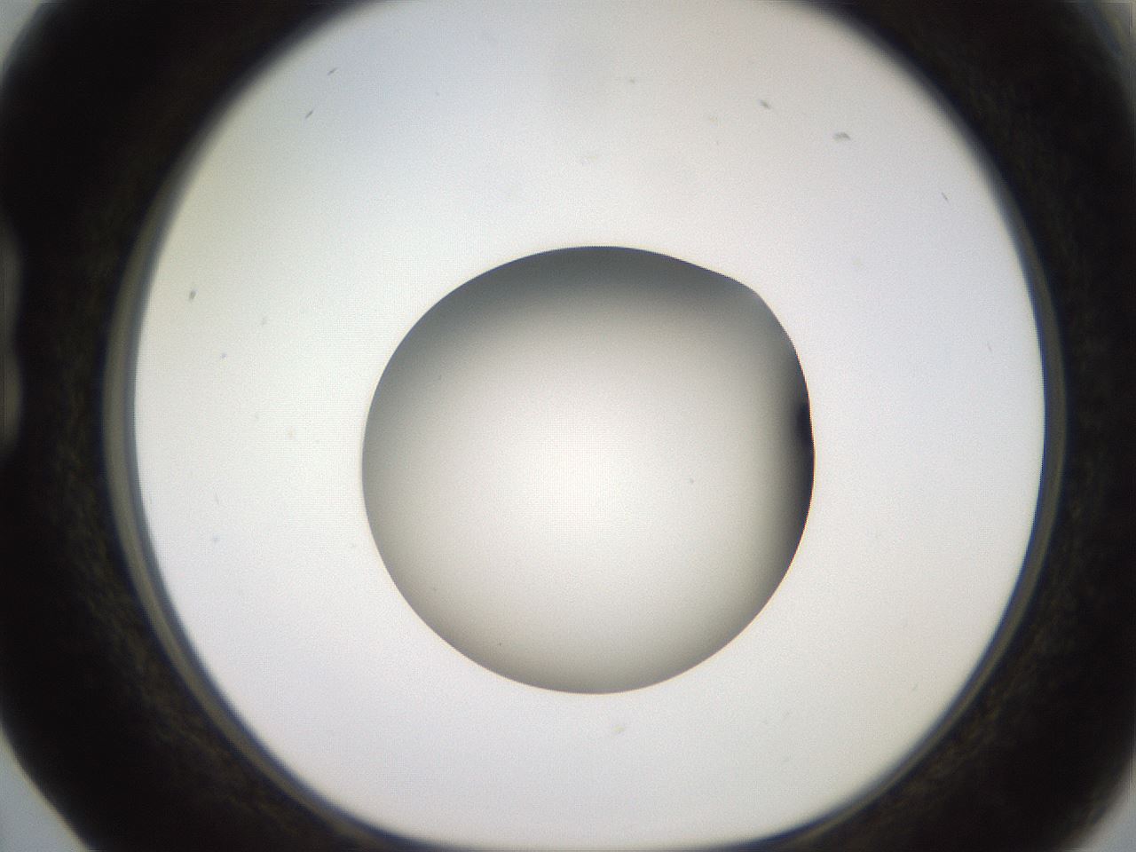 folderID260_plateID2260_batchID10334_wellNum17_profileID1_d1_r157026_ef.jpg