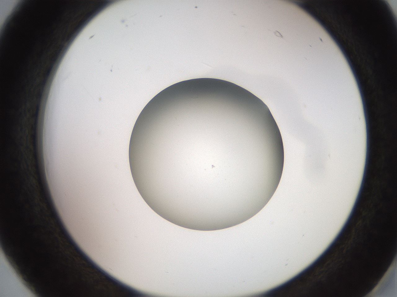 folderID260_plateID2260_batchID10334_wellNum18_profileID1_d2_r157029_ef.jpg