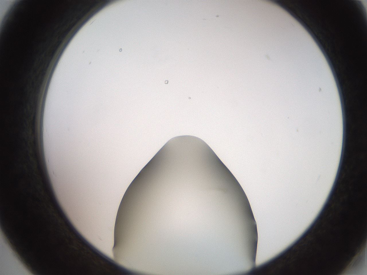 folderID260_plateID2260_batchID10334_wellNum19_profileID1_d2_r157031_ef.jpg