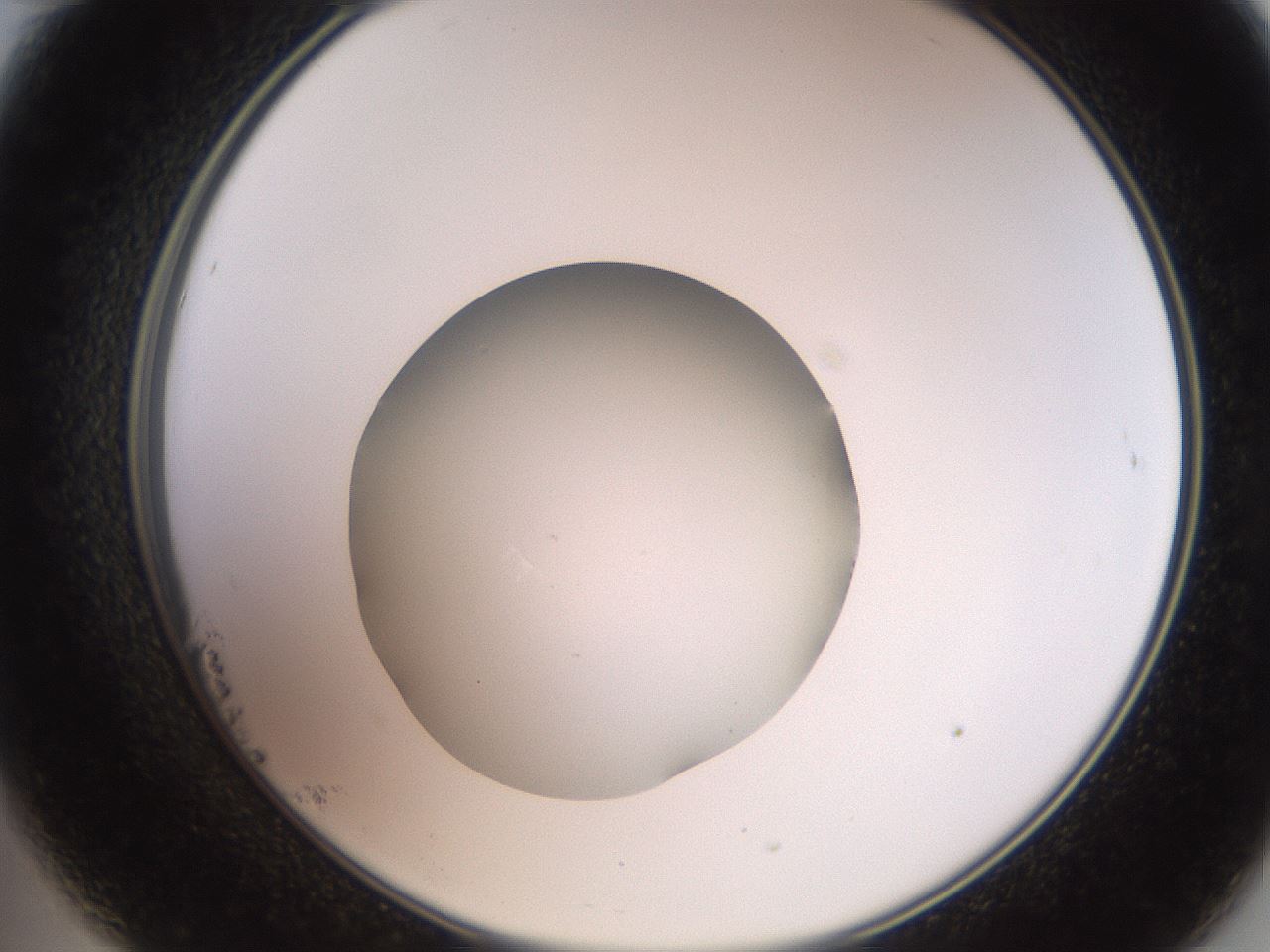 folderID260_plateID2260_batchID10334_wellNum23_profileID1_d2_r157039_ef.jpg