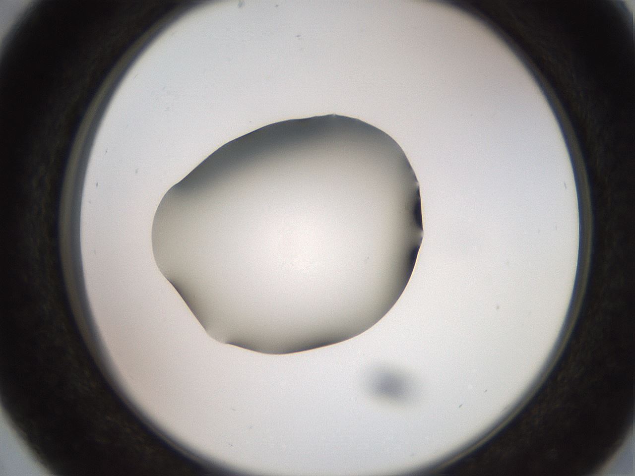 folderID260_plateID2260_batchID10334_wellNum29_profileID1_d2_r157051_ef.jpg