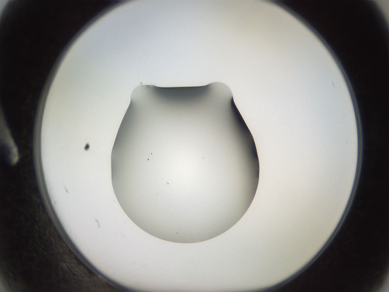 folderID260_plateID2260_batchID10334_wellNum2_profileID1_d1_r156996_ef.jpg