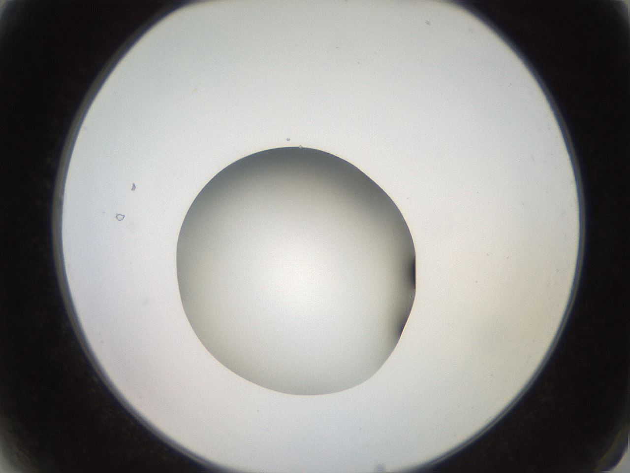 folderID260_plateID2260_batchID10334_wellNum2_profileID1_d2_r156997_ef.jpg