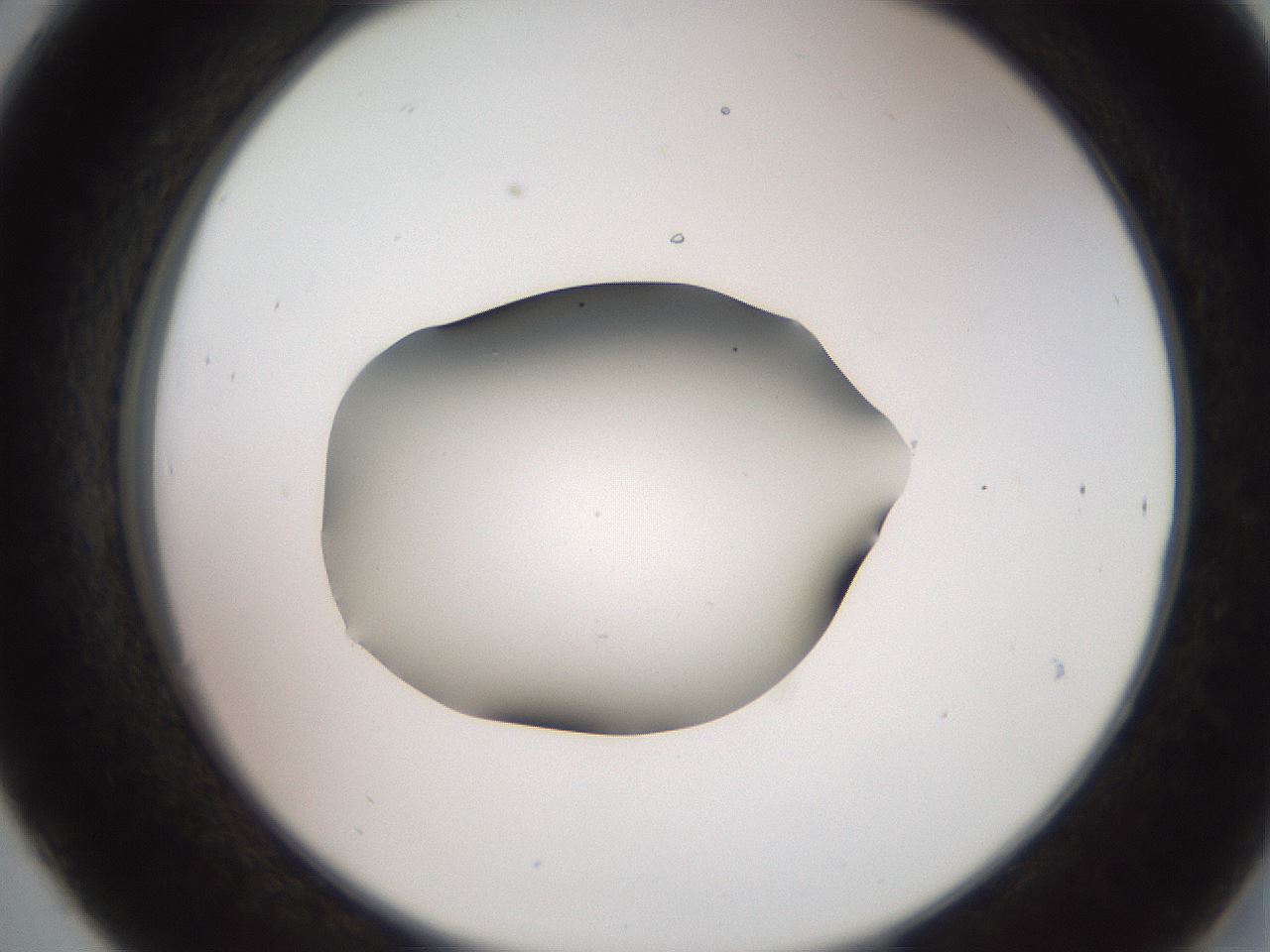 folderID260_plateID2260_batchID10334_wellNum30_profileID1_d2_r157053_ef.jpg