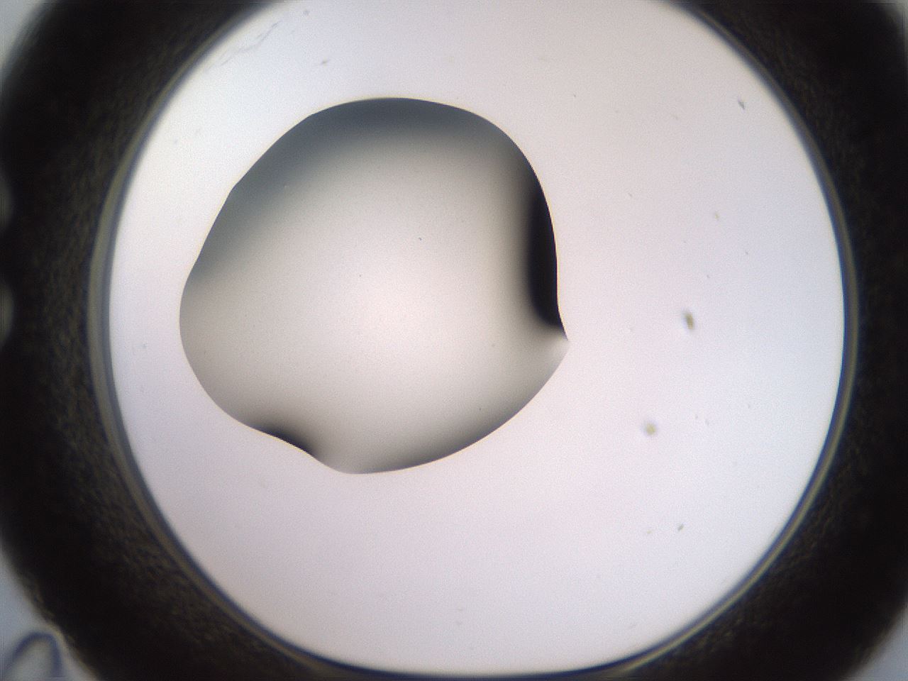 folderID260_plateID2260_batchID10334_wellNum35_profileID1_d1_r157062_ef.jpg