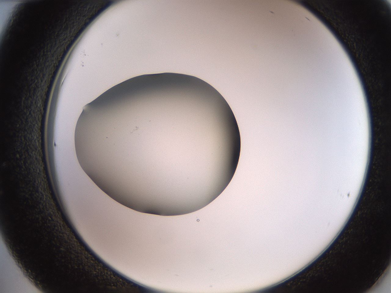 folderID260_plateID2260_batchID10334_wellNum36_profileID1_d2_r157065_ef.jpg