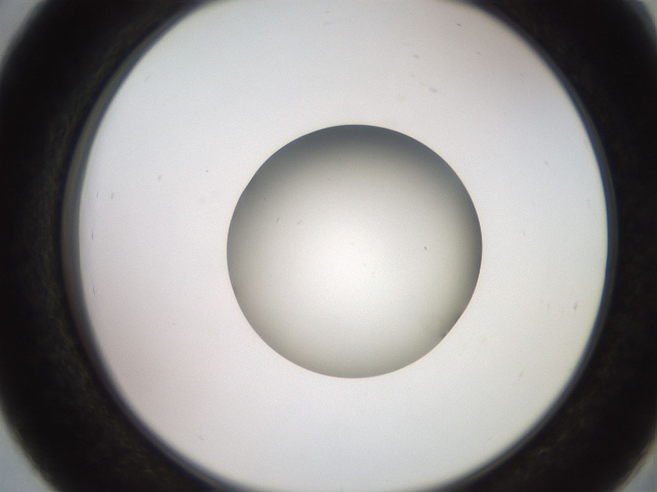 folderID260_plateID2260_batchID10334_wellNum39_profileID1_d2_r157071_ef.jpg