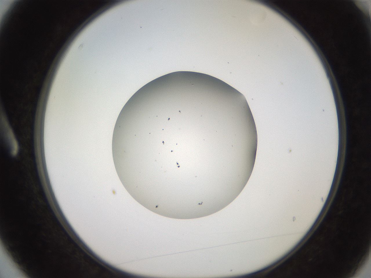 folderID260_plateID2260_batchID10334_wellNum3_profileID1_d1_r156998_ef.jpg