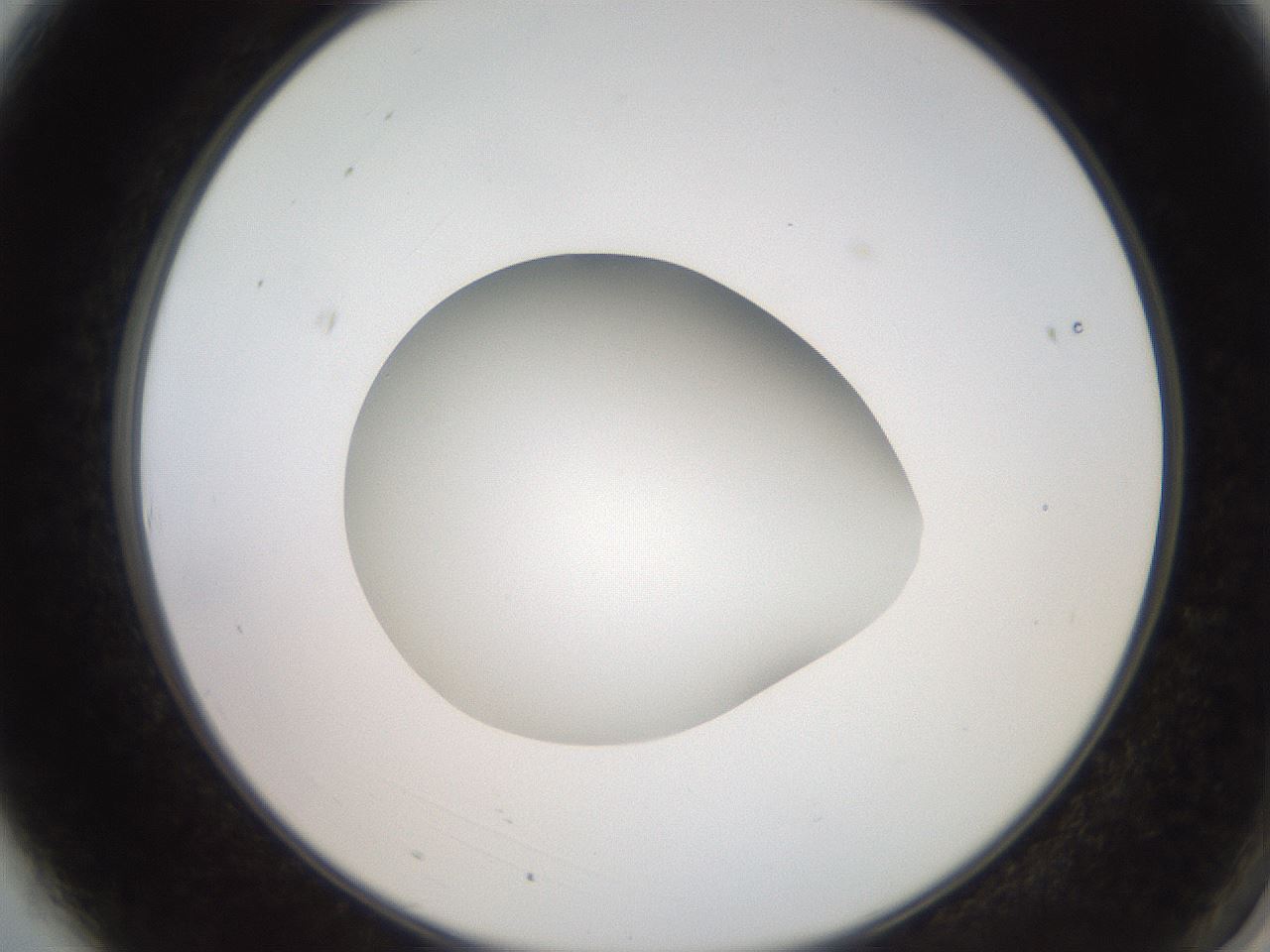 folderID260_plateID2260_batchID10334_wellNum3_profileID1_d2_r156999_ef.jpg