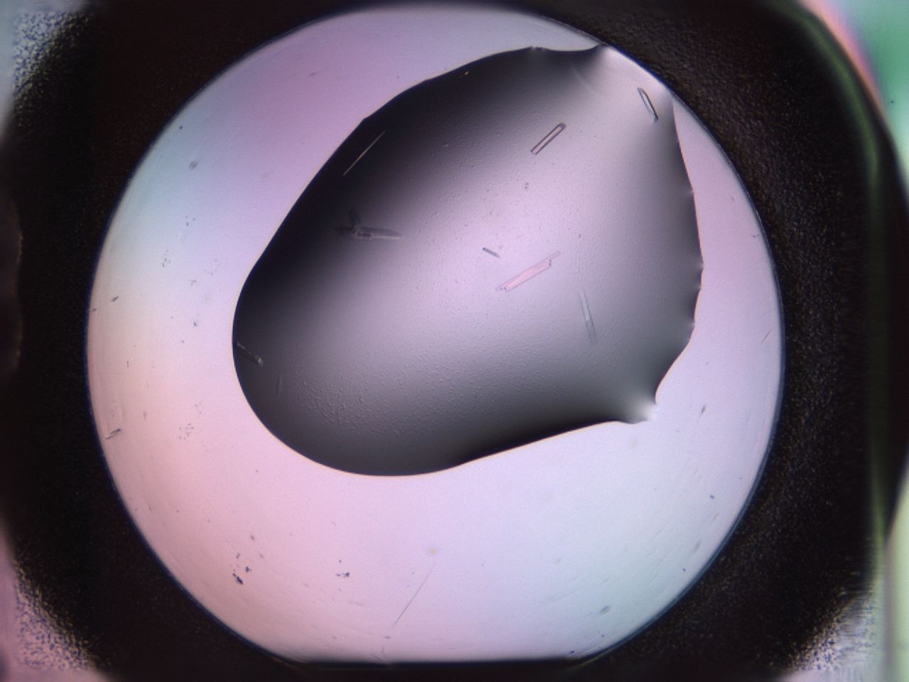 02jm_B6_ImagerDefaults_9.jpg