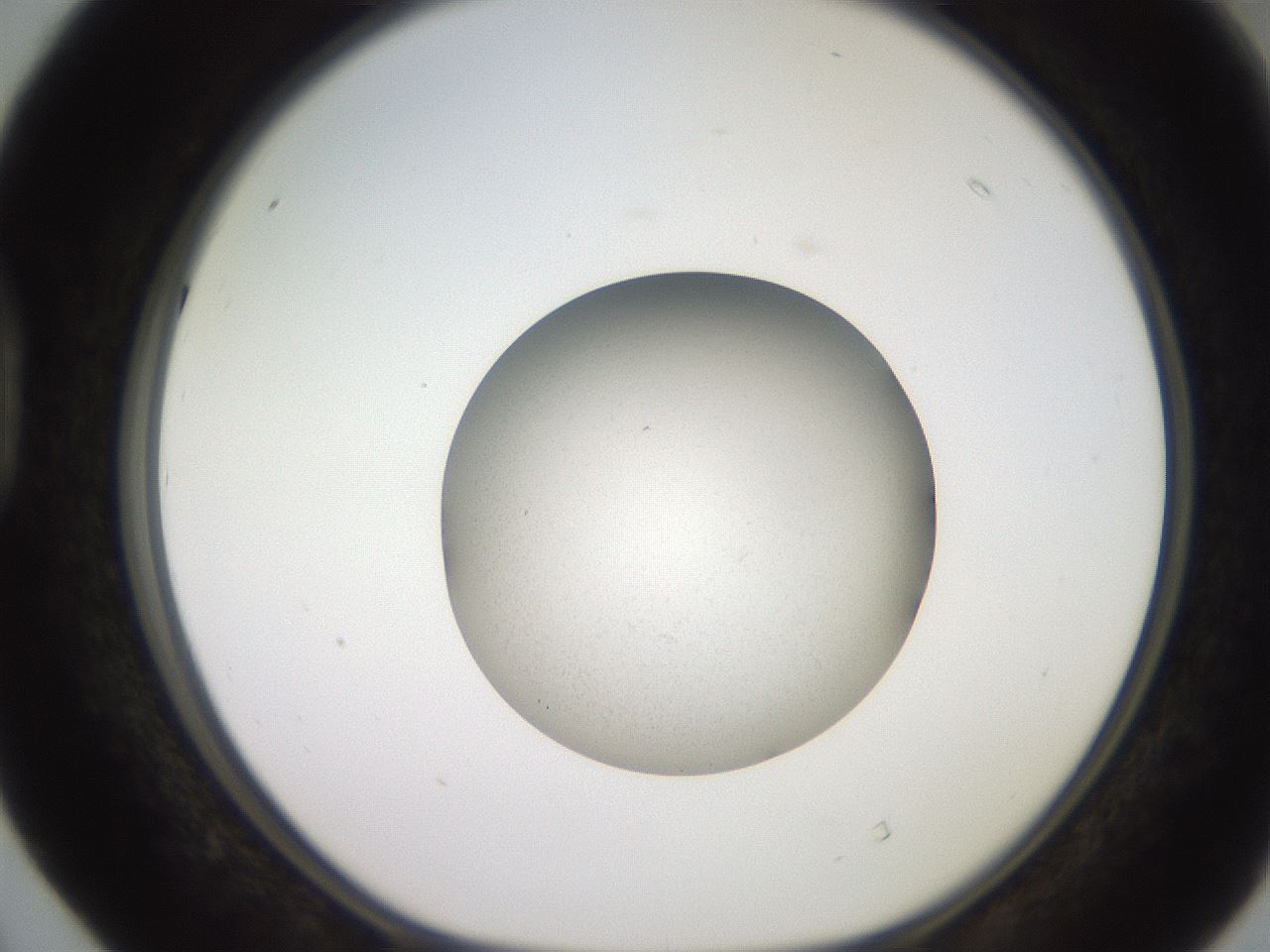 folderID260_plateID2260_batchID10334_wellNum40_profileID1_d1_r157072_ef.jpg
