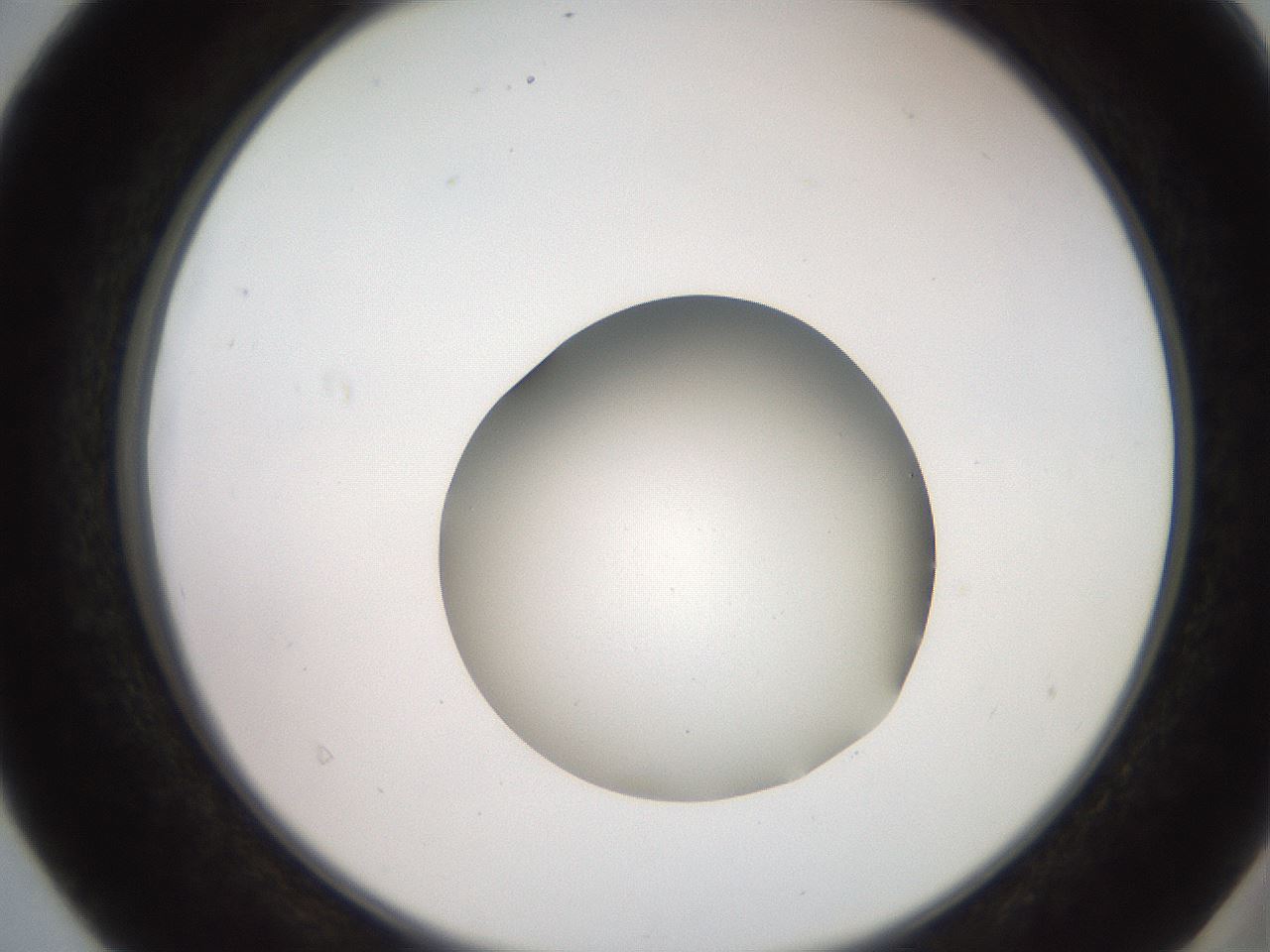 folderID260_plateID2260_batchID10334_wellNum40_profileID1_d2_r157073_ef.jpg