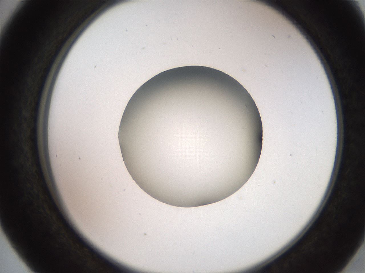 folderID260_plateID2260_batchID10334_wellNum41_profileID1_d2_r157075_ef.jpg