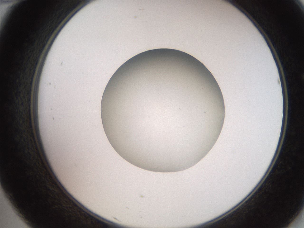 folderID260_plateID2260_batchID10334_wellNum46_profileID1_d2_r157085_ef.jpg