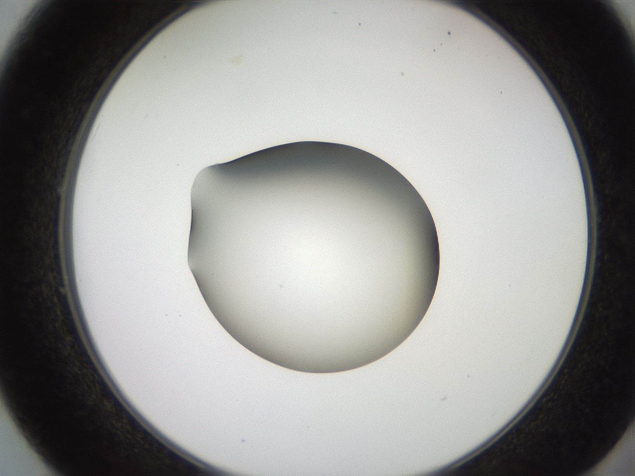 folderID260_plateID2260_batchID10334_wellNum49_profileID1_d2_r157091_ef.jpg