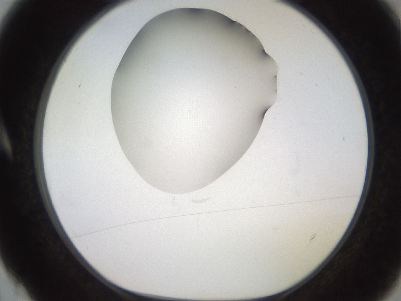 folderID260_plateID2260_batchID10334_wellNum4_profileID1_d1_r157000_ef.jpg