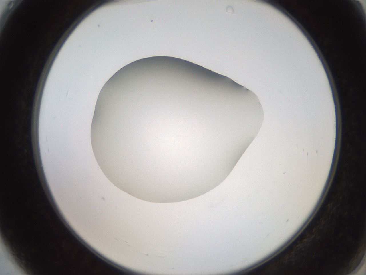 folderID260_plateID2260_batchID10334_wellNum4_profileID1_d2_r157001_ef.jpg