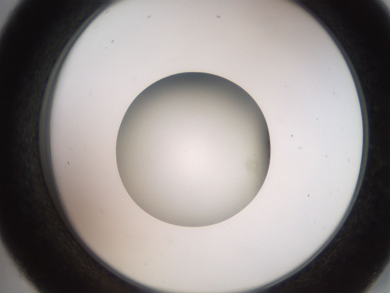folderID260_plateID2260_batchID10334_wellNum45_profileID1_d2_r157083_ef.jpg