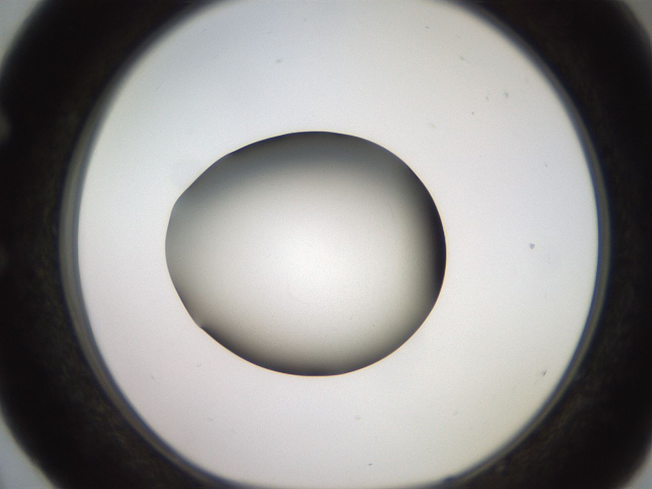folderID260_plateID2260_batchID10334_wellNum52_profileID1_d1_r157096_ef.jpg