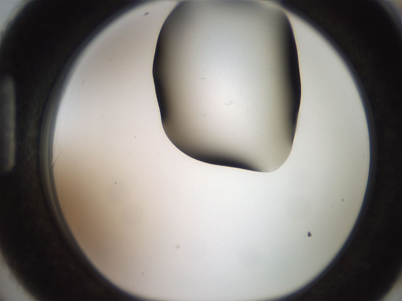 folderID260_plateID2260_batchID10334_wellNum90_profileID1_d1_r157172_ef.jpg