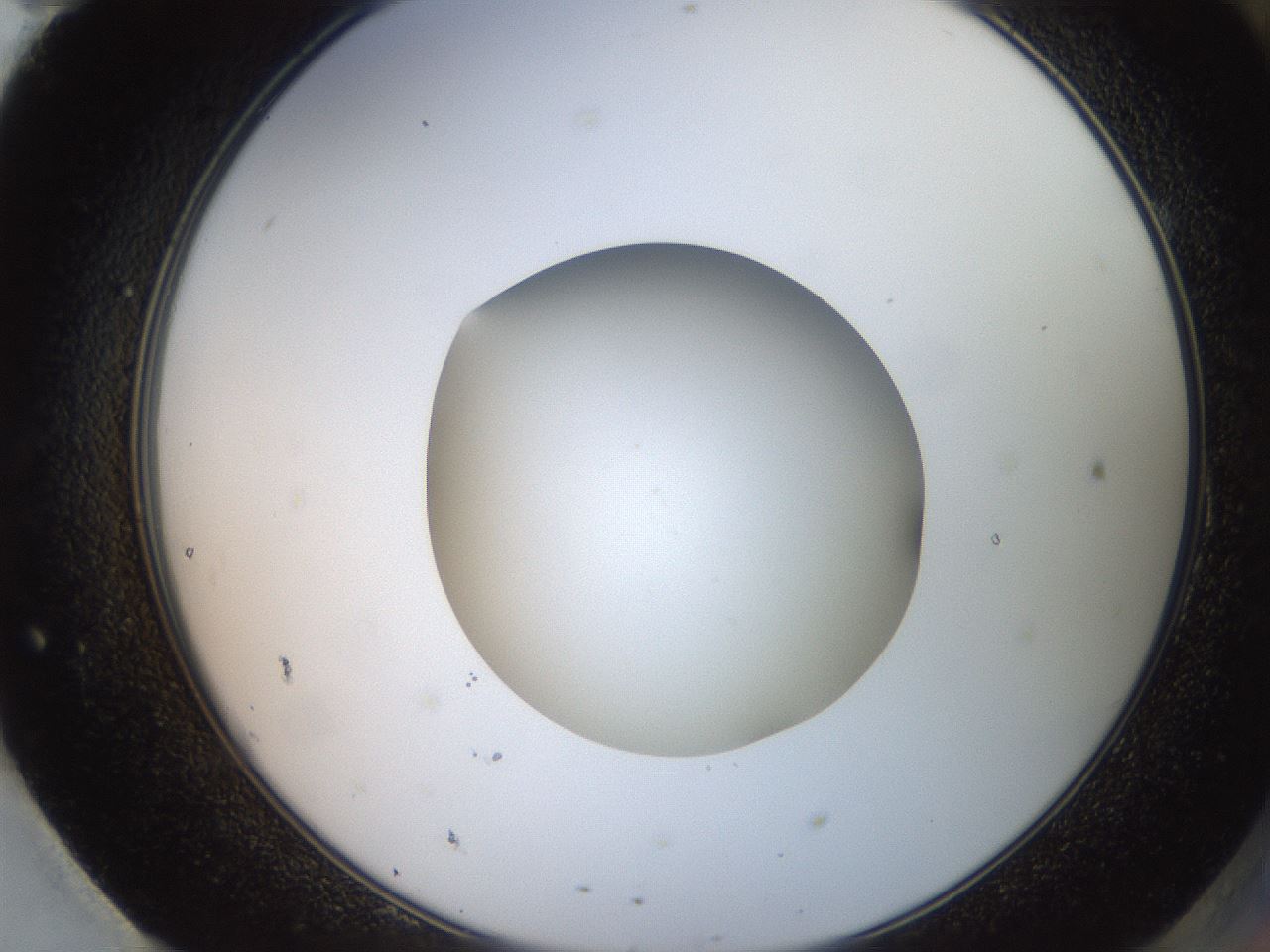 folderID260_plateID2260_batchID10334_wellNum95_profileID1_d2_r157183_ef.jpg