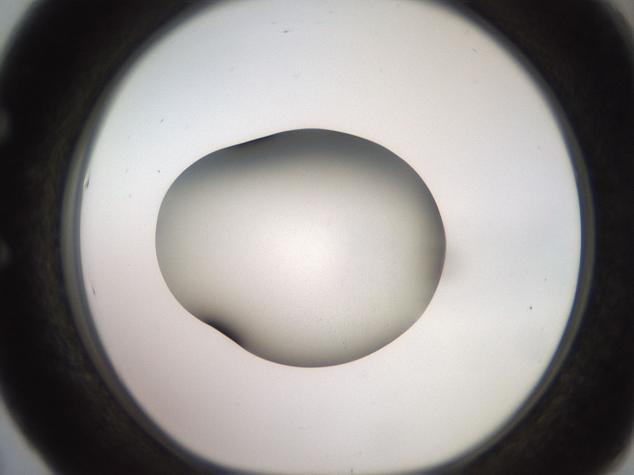 folderID260_plateID2260_batchID10334_wellNum53_profileID1_d1_r157098_ef.jpg
