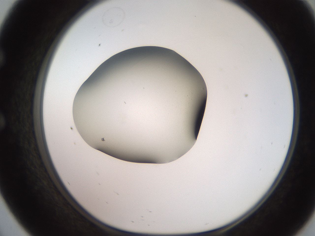 folderID260_plateID2260_batchID10334_wellNum57_profileID1_d1_r157106_ef.jpg