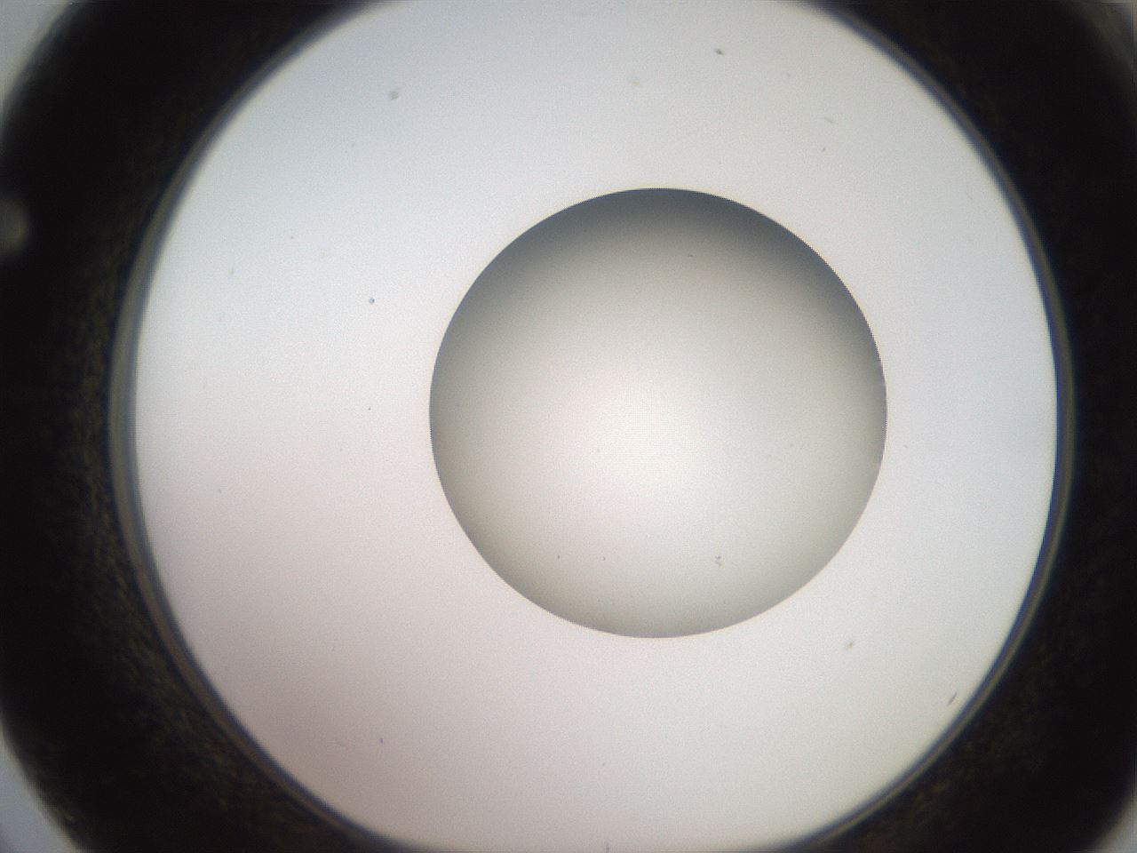 folderID260_plateID2260_batchID10334_wellNum62_profileID1_d1_r157116_ef.jpg