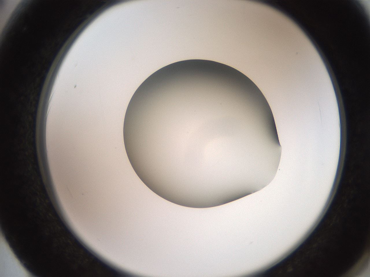 folderID260_plateID2260_batchID10334_wellNum62_profileID1_d2_r157117_ef.jpg
